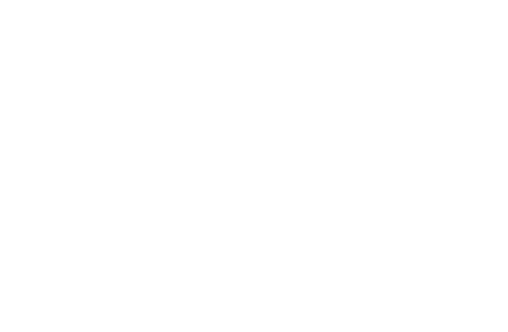 project label